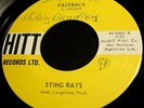 The Sting Rays 45 Hitt Fastback / Run on home