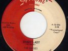 TN rockin' instro The Shades ARDENT 104 (( LISTEN )) Shady lady