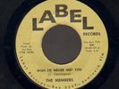 FLA GARAGE 45 The Members WISH I'D NEVER MET ME on LABEL 101