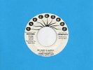 JAMES FOUNTAIN my hair is nappy/ burning up PEACHTREE dj funk soul 45 *Listen*