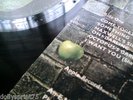 BEATLES UK - ABBEY ROAD LP  ‘ A – 3U ’ Export matrix & a MISALIGNED APPLE.