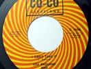 70s Soul Funk 45 LOU RAGLAND & HOT CHOCOLATE I Can't Take It on Co-Co M-