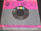 The Ash   Fly Up Tight   ABC Probe   freakbeat mod psych garage 45 HEAR