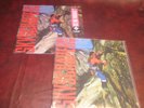 DAVID LEE ROTH SKYSCRAPER ORIGINAL 1988 WARNER ISSUE & 180 GRAM AUDIOPHILE COMBO