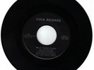 MULE SKINNER BLUES - FENDERMEN ON CUCA