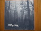 THE CURE - A forest 12
