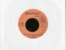 THE IMMORTALS - YOU CAN'T KEEP A GOOD MAN DOWN - REGGAE 45 RPM  - JAMAICA IMPORT