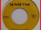 MODERN SOUL BOOGIE 7'' Sunshyne - One Day At A Time 