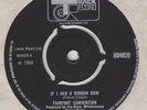 FAIRPORT CONVENTION - IF I HAD A RIBBON BOW TRACK 7