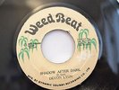 DEVON LYON - SHADOW AFTER DARK - WEED BEAT