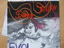 SONIC YOUTH mint 1986 ‘Evol’ LP 100% UNGESPIELT mit TEXTBLATT, Thurston Moore