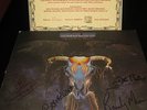THE EAGLES SIGNED AUTOGRAPHED FIRMADO SIGNIERT ONE OF THESE NIGHTS LP RECORD COA