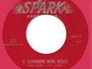 R&B - DOO-WOP - THE ROBINS on SPARK - 