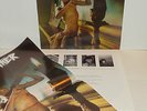 GRAY MATTER-Thog LP RARE ORIGINAL WITH POSTER