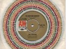 60s Electric Folk Rock THE STRAWBS oh how she changed 1968 UK 7