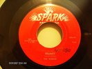 THE ROBINS, FRAMED, RARE DOO-WOP 45, SPARK #107, 1954