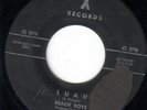 RARE BEACH BOYS 45 SURFIN/LUAU X  301