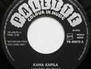 THE COUSINS: Kana Kapila   CrAzY SURF INSTRO   Hear   Jungle Exotica
