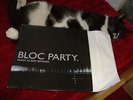 Bloc Party rare Silent Alarm Remixed limited double LP WEBB090LP original 2005