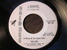 ANTHONY & THE AQUA LADS I Remember Heart Gold Bee Soul WLP 45 HEAR
