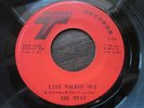 THE MIST Life Walked Out Twinight Soul 45 HEAR