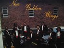 GROUP SOUL - FUNK LP GOSPEL by THE NEW GOLDEN WINGS INCREDIBLE HEAR 2 SONGS