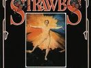 STRAWBS - GRAVE NEW WORLD - VINYL LP -1972