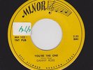 Rare Houston Uptempo Country DANNY ROSS You're The One MINOR 102 M- HEAR Now
