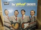 BUDDY HOLLY/ THE CHIRPING CRICKETS BL 54038 Orig. Black Brunswick  