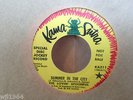 THE LOVIN' SPOONFUL SUMMER IN CITY  WLP US DJ   45 WAREHOUSE FIND M- KAMA SUTRA