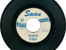 The Beatles, She Loves You/I'll Get You Swan 45 w/blue print