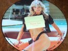 Samantha Fox - Interview Picture Disc - Import Vinyl LP Record Album