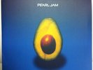 Pearl Jam Self Titled Avocado Eddie Vedder