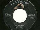 Doo-Wop Rockn'roll 45- The Idols 
