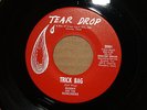 SUNNY & SUNLINERS *Trick Bag* CHEATIN' TRACES Northern Soul 45 TEAR DROP 3081