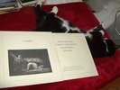 Joy Division Original Factory Records Closer red Translucent First Press FACT25