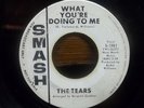 The Tears 45rpm What You're Doing To Me SMASH PROMO Northern Soul
