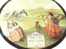 RARE 78 rpm Saturn PICTURE DISC Folk Music: Hungarian Echoes / Two Guitars 1940s