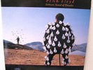 PINK FLOYD – DELICATE SOUND OF THUNDER – 2 LP LIVE