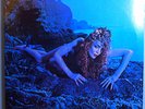 ROXY MUSIC SIREN (FIFTH ALBUM) STILL SEALED ORIGINAL 1975 ATCO LP BEAUTIFUL LP