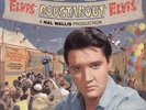 LP:Elvis Presley,Roustabout(BLACK RCA)[NM] (RCA)