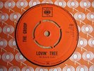 THE GROOP, LOVIN' TREE / NIGHT LIFE, UK CBS 7