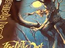 Iron Maiden - Fear Of The Dark Double LP i