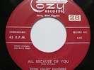 Country 45 ECHO VALLEY RANGERS on COZY hear