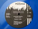HOPETON LINDO-African Choice-False Sentence-/UK PLANTATION ROCKERS Blue Wax 12