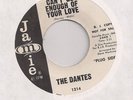 THE DANTES : Can't Get Enough of / 80-96 (Jamie 1314)1966 Garage Mod 45 LISTEN