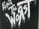 The Worst-Expect the Worst Lp kbd punk fatal rage chronic sick child abuse burnt