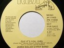 JAMES WALSH GYPSY BAND Cuz It's You Girl DJ Promo NORTHERN SOUL Funk Disco HEAR