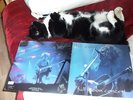 The Cure Full Moon Concert Double LP Live Leysin 1990 on Swinging Pig TSP 086-2