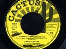 Errol Carter - Ram Goat Malish Water UK Cactus orig 45 ??